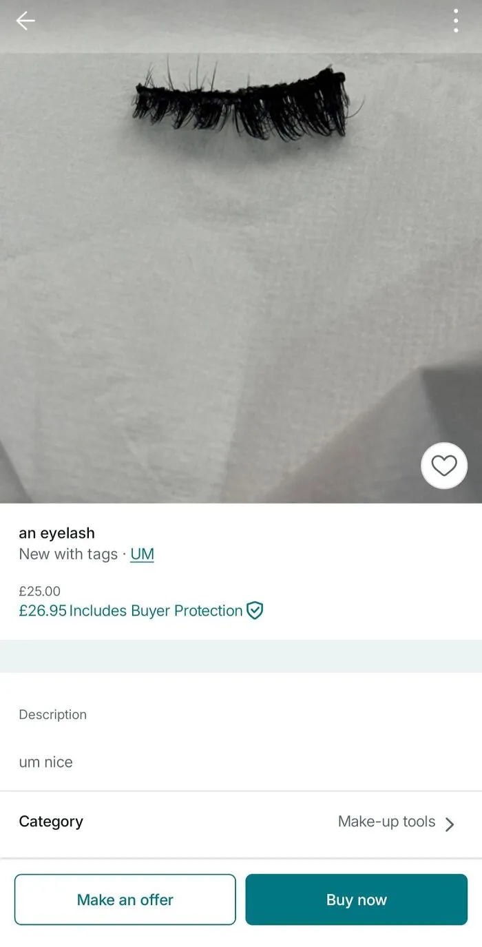 One Single Eyelash
