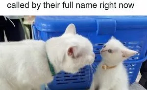 People Are Loving This FB Account That Shares Animal Memes And Here Are 50 Of The Best