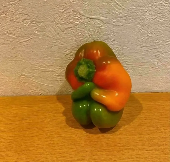 No estoy seguro de si debería cocinarlo o, primero, preguntarle qué ocurrió