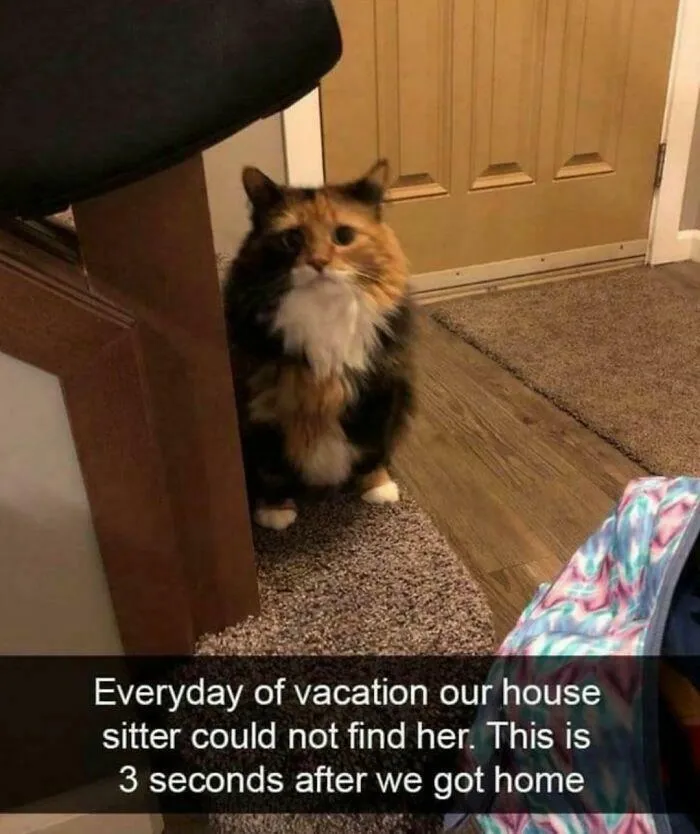 That Sad Look :(