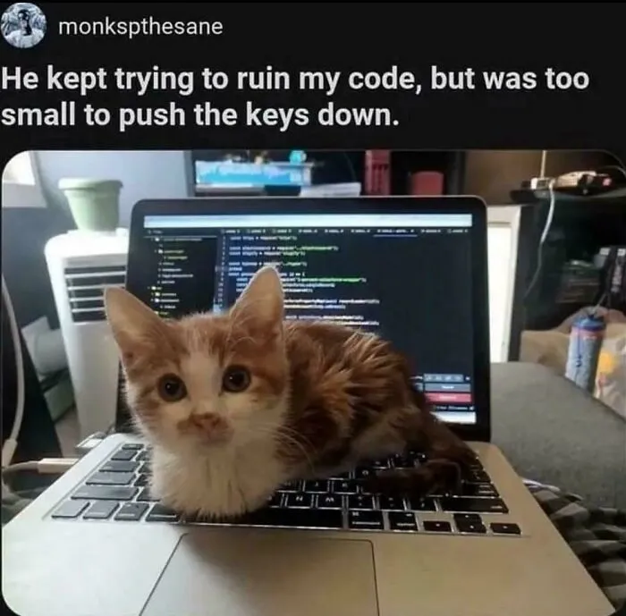 Smol