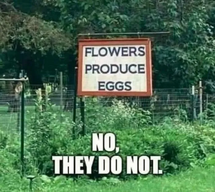 56 Hilarious And Dumb Signs That Surprised People With Their Weirdness