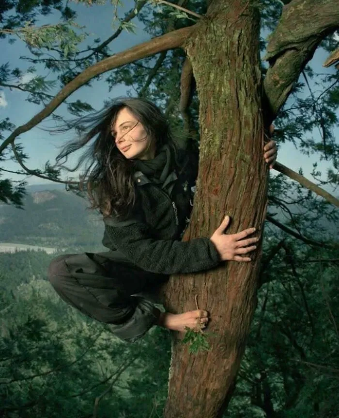 En 1997, en el norte de California, una activista llamada Julia Butterfly Hill trepó 55 metros hasta la copa de una majestuosa secuoya de 1000 años de edad y no bajó durante 738 días