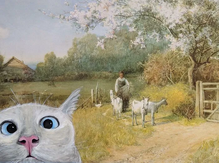 Cat Bombing, My Latest Thing. Didn't Remember To Take A Before Picture But Think It's Pretty Obvious What I Added