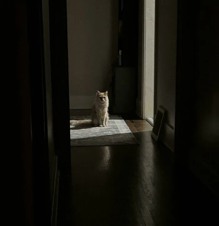 Sometimes He Just Stands At The End Of The Hallway… Menacingly