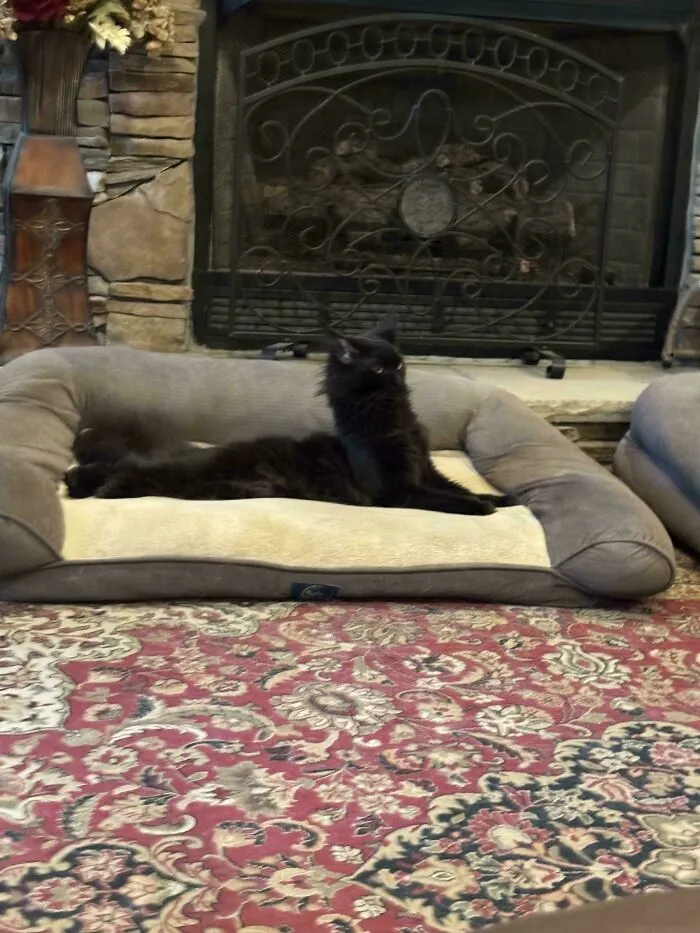 Cryptid Void Stretched Neck