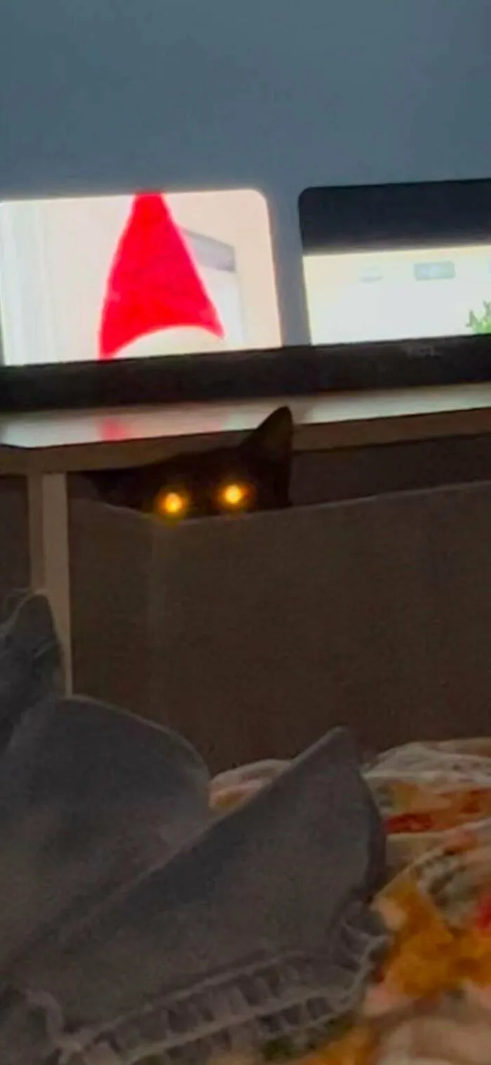 Wut