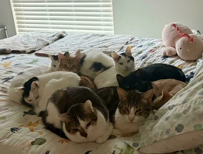 Plotting My Destruction?