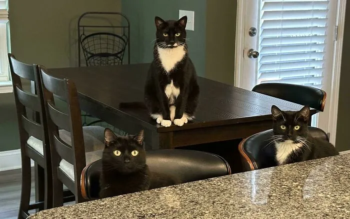 Was Told To Post My Squad Here!