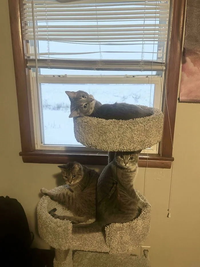 I Think I Interrupted Them…
