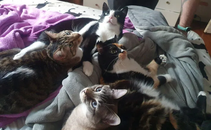 I Got Back From A Trip Yesterday And The Council Hasn't Left My Side Since