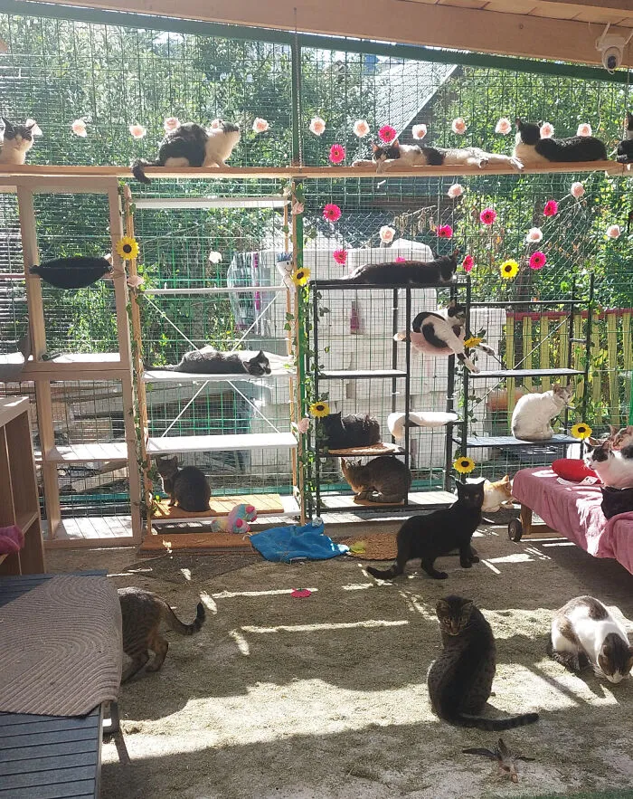 The Lazy Council Decided: Sunshine Is Goooood