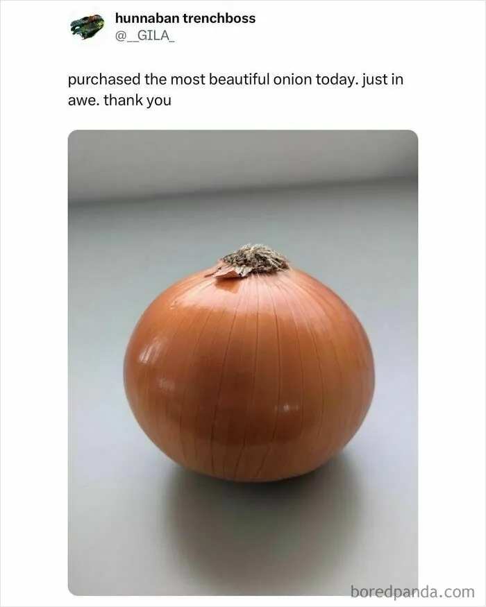 “This Isn’t Even Well-Done, It’s Congratulations”: 50 Hilariously Delicious Food Memes