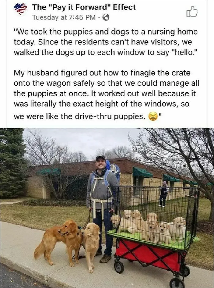 People Are Sharing Their Cute Dog Pics And The Internet Thanks Them For These 78 Snaps
