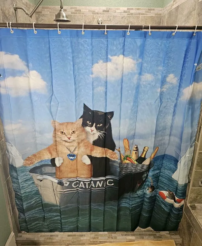 Mi novia odia mi nueva cortina de ducha