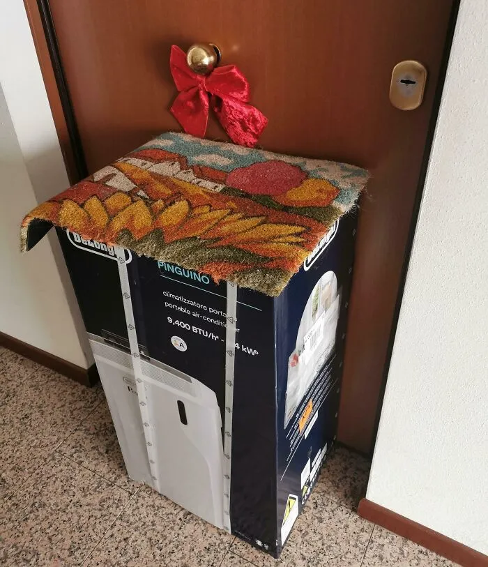 Gracias al repartidor de Amazon por esconder mi paquete debajo de la alfombra