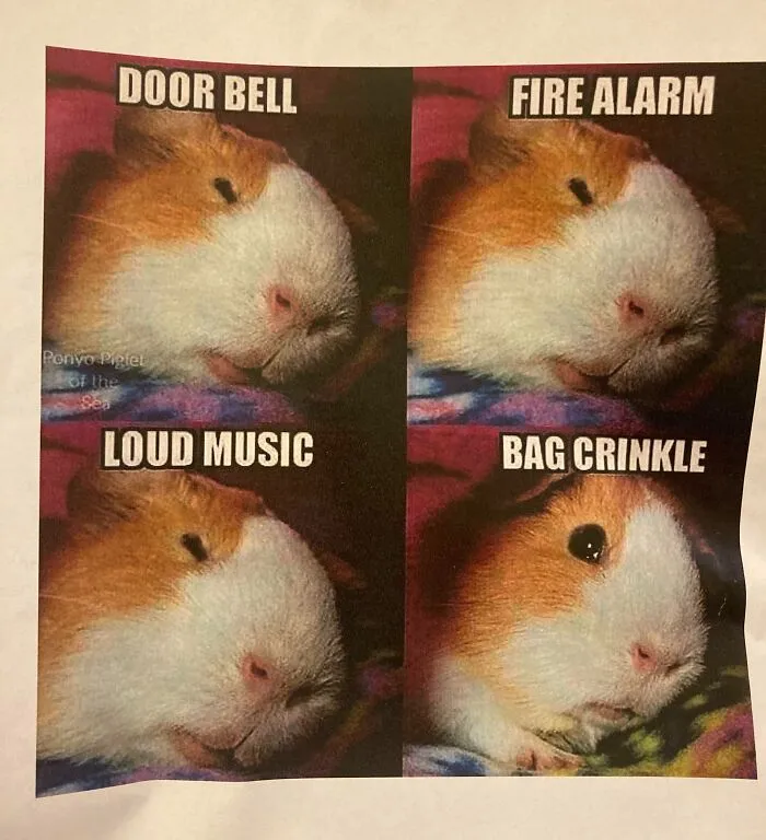 This Is A Meme My Sister Made (She’s 8)