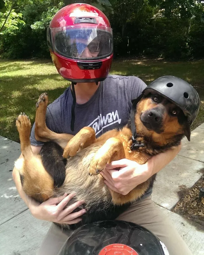 My Sister Asked Me To Bring Her Dog From Dallas To Austin So I Sent Her This Picture And Said We Were On The Way
