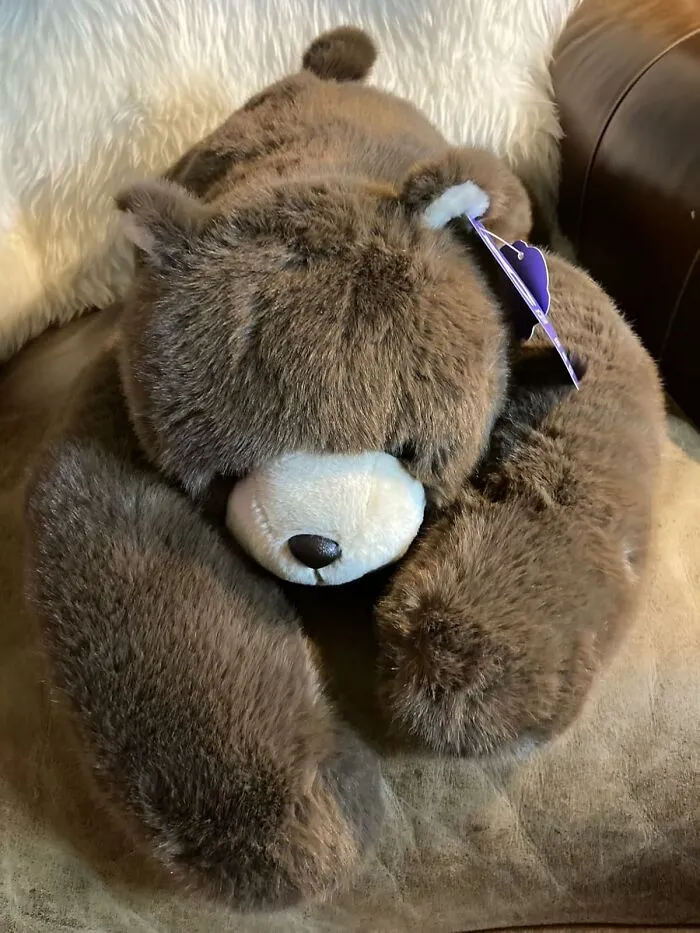 All The Benefits Of A Professional Cuddler Are Now Available In A Much Furrier Package With This <a Style="Display:inline;" Href="Https://Www.amazon.com/Ygze-Weighted-Stuffed-Christmas-Birthdays/Dp/B0f6nccx4l?ie=utf8&th=1&linkcode=ll1&tag=bpgoat-20&linkid=f866e7a00711eff4fca8bf72265dda2a&language=en_us&ref_=as_li_ss_tl" Target="_blank">   <span Style="Font: Inherit; Color: #d74b1f;"> Weighted Stuffed Brown Bear </Span>