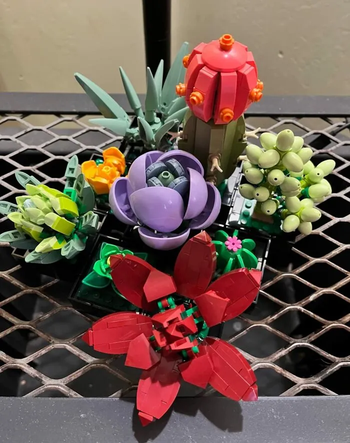 The <a Style="Display:inline;" Href="Https://Www.amazon.com/LEGO-Succulents-Building-Adults-Display/Dp/B09q4gwmzq?ie=utf8&linkcode=ll1&tag=bpaxolotl-20&linkid=daebeef9eab0cb85df08a42c4125163b&language=en_us&ref_=as_li_ss_tl" Target="_blank"> <span Style="Font: Inherit; Color: #d74b1f;"> LEGO Botanicals Succulents </Span> Are The Plant They Can Own That Will Thrive On Pure, Unadulterated Neglect