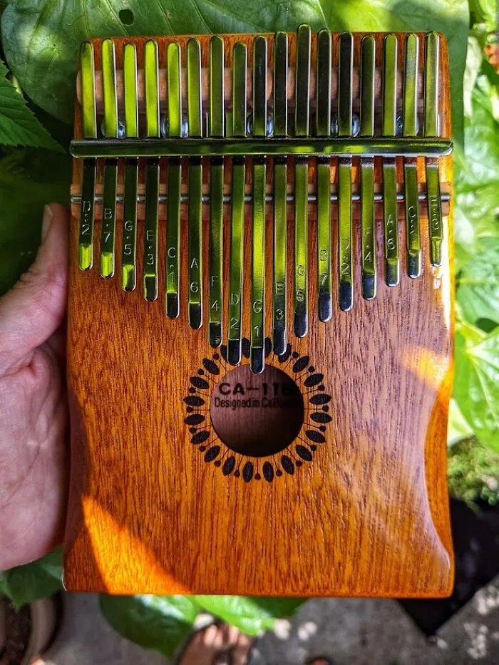 Convincing People You Are A Musical Prodigy Is Surprisingly Easy With The <a Style="Display:inline;" Href="Https://Www.amazon.com/Kalimba-Portable-Finger-Adults-Beginners/Dp/B07q38fwfj?ie=utf8&th=1&linkcode=ll1&tag=bpwhale-20&linkid=18720ce5fddb5c4c72dafe5b84977dc7&language=en_us&ref_=as_li_ss_tl" Target="_blank">   <span Style="Font: Inherit; Color: #d74b1f;"> Kalimba Thumb Piano </Span> Since It Sounds Beautiful Even If You Are Just Mashing Your Thumbs Randomly