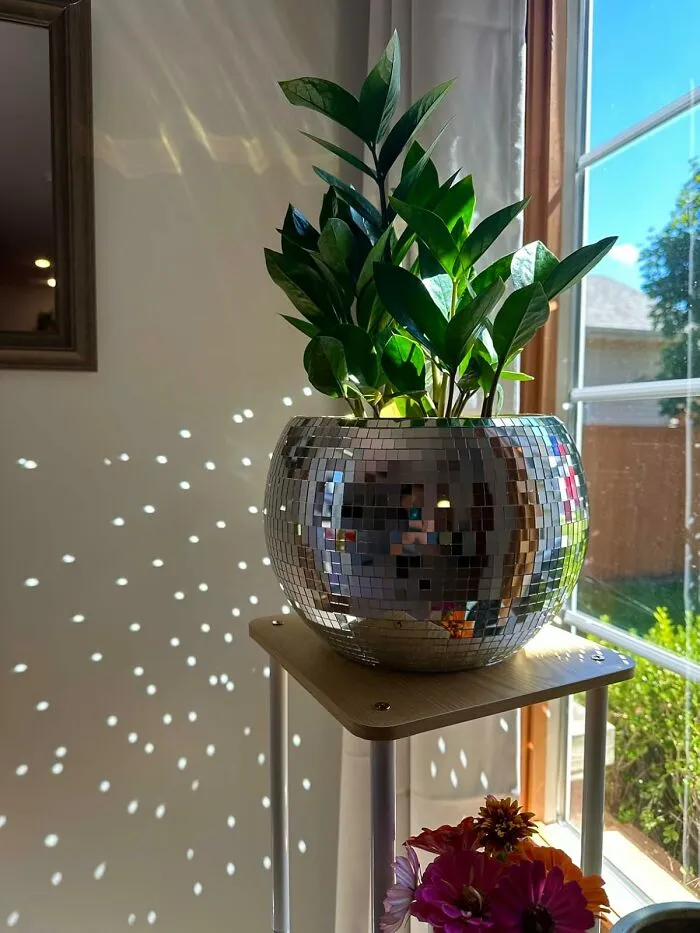 The <a Style="Display:inline;" Href="Https://Www.amazon.com/Fgbnm-Planter-Silver-Hanger-Hanging/Dp/B0cq7spg5d?ie=utf8&th=1&linkcode=ll1&tag=bpaxolotl-20&linkid=66d30ef6b26773afc34265ddc3c4f804&language=en_us&ref_=as_li_ss_tl" Target="_blank"> <span Style="Font: Inherit; Color: #d74b1f;"> Disco Ball Planter </Span> Will Give Their Succulent A Home That's Roughly A Thousand Times Cooler And More Glamorous Than Their Own Bedroom