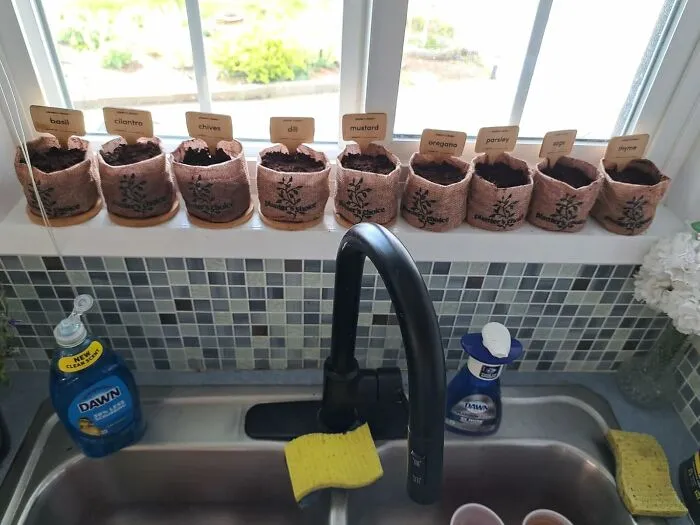 If They Plant This <a Style="Display:inline;" Href="Https://Www.amazon.com/Herb-Indoor-Window-Garden-Kit/Dp/B0cjyn69zy?ie=utf8&linkcode=ll1&tag=bpscorpion-20&linkid=908346eca4a728f649b85ada35d6e708&language=en_us&ref_=as_li_ss_tl" Target="_blank"> <span Style="Font: Inherit; Color: #d74b1f;"> Indoor Herb Growing Kit </Span> Now, It Might Be In Time For Some More Flavorful Food Next Christmas