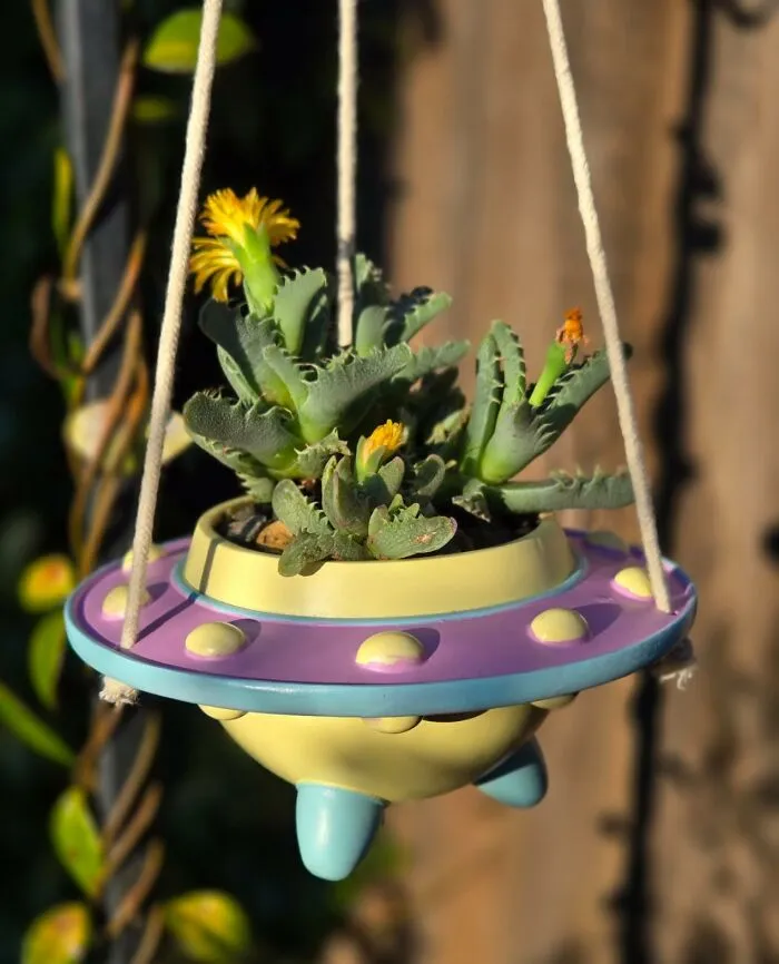 Your Succulent Is About To Be Abducted By A Much Cooler, More Stylish Home With This <a Style="Display:inline;" Href="Https://Www.amazon.com/Original-Earthlings-Hanging-Plant-Pot/Dp/B0dh7gqqhm?ie=utf8&linkcode=ll1&tag=bpgecko-20&linkid=75e23b89642180117785ec9e799cc815&language=en_us&ref_=as_li_ss_tl" Target="_blank">   <span Style="Font: Inherit; Color: #d74b1f;"> Hanging UFO Planter </Span>