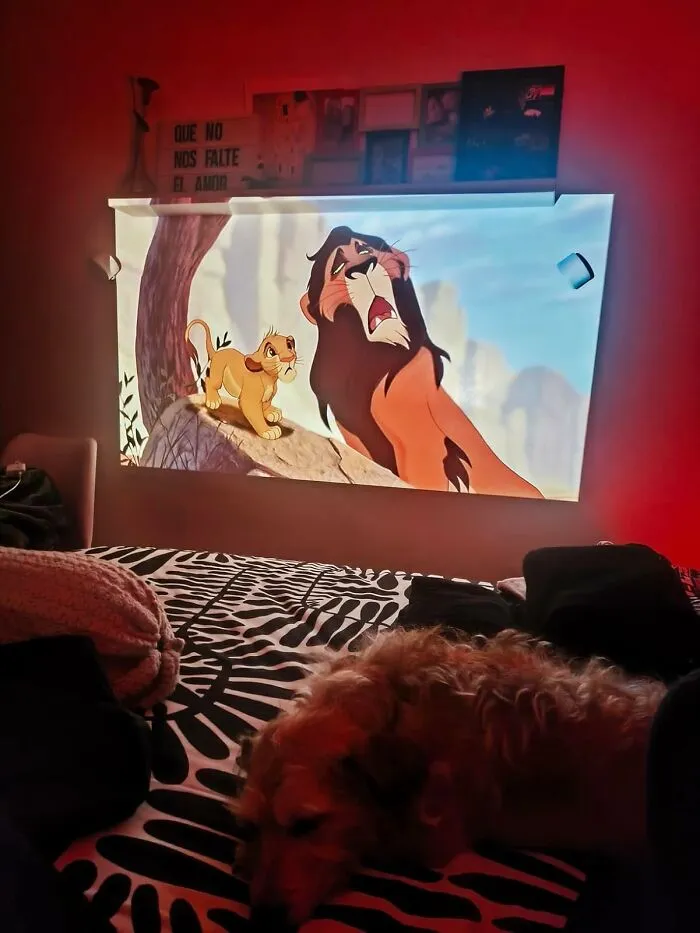 A <a Style="Display:inline;" Href="Https://Www.amazon.com/Happrun-Projector-Bluetooth-Compatible-Smartphone/Dp/B0djqt2b59?ie=utf8&th=1&linkcode=ll1&tag=bponion-20&linkid=aeeca1785bc5fd193d5d1d58f11ffbb5&language=en_us&ref_=as_li_ss_tl" Target="_blank">   <span Style="Font: Inherit; Color: #d74b1f;"> Movie Projector </Span> Will Make Your Living Room Feel Less Like The Place You Watch TV And More Like A Private, Exclusive Cinema Where Pants Are Optional