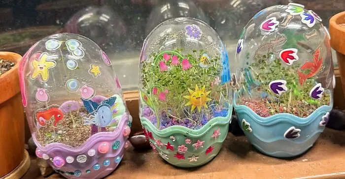 Their Green Thumb And Their Love Of Mythical, Horned Creatures Can Finally Be Combined In One Glorious, Sparkly, And Self-Contained Ecosystem With A <a Style="Display:inline;" Href="Https://Www.amazon.com/Creativity-Kids-Magical-Unicorn-Garden/Dp/B083ytq6nt?ie=utf8&th=1&linkcode=ll1&tag=bphorse-20&linkid=058674fec605bf118d2f8b236b48f90c&language=en_us&ref_=as_li_ss_tl" Target="_blank">   <span Style="Font: Inherit; Color: #d74b1f;"> Unicorn Terrarium </Span>