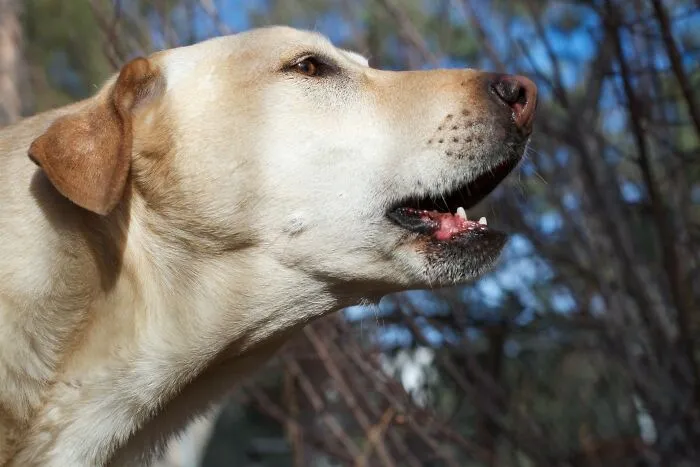 30 Truths About Delivering Mail That Might Surprise You