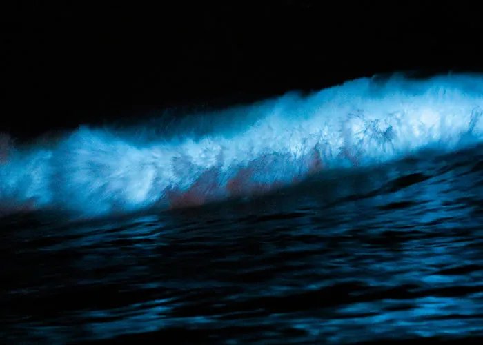 46 Creepy And Unsettling Things People Witnessed In Remote Locations