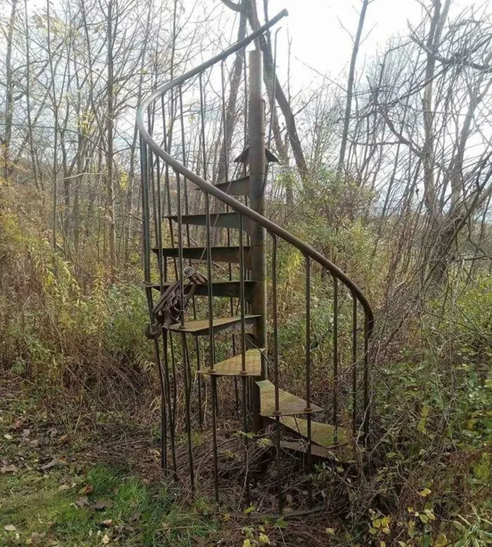 34 Creepy Things Folks Have Found In Forests
