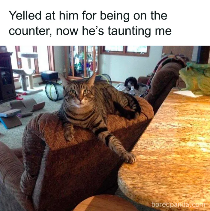 50 Memes You Might Want To Share As They’re Too Funny To Keep To Yourself