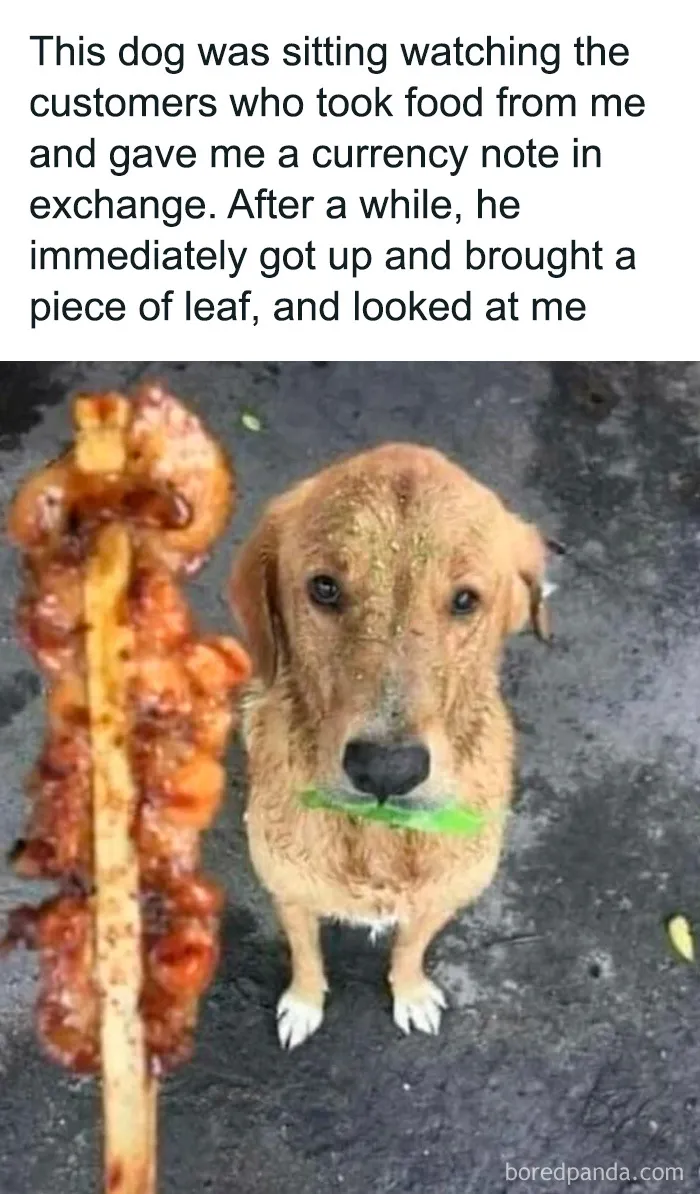 50 Wholesome Pics To Fix Your Sad Feed Today (New Pics)