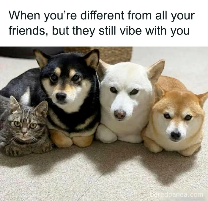 50 Wholesome Pics To Fix Your Sad Feed Today (New Pics)