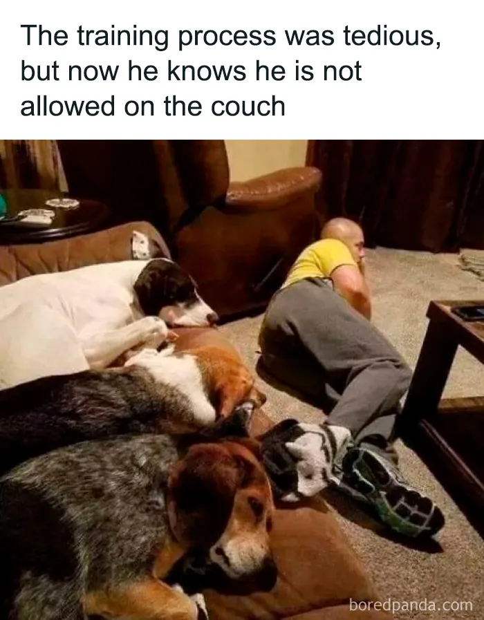 People Are Sharing Their Cute Dog Pics And The Internet Thanks Them For These 78 Snaps