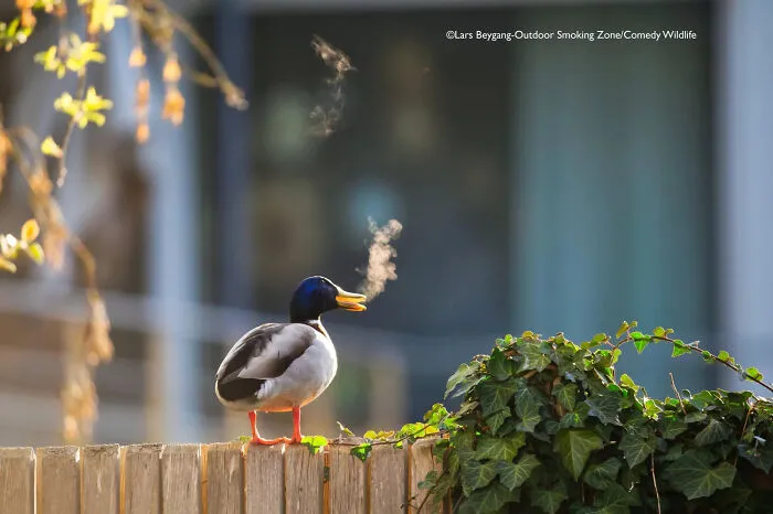 "Outdoor Smoking Zone" By Lars Beygang, Germany