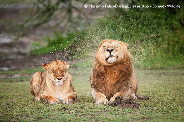 "Darling, Please Stop!" By Massimo Felici, Italy
