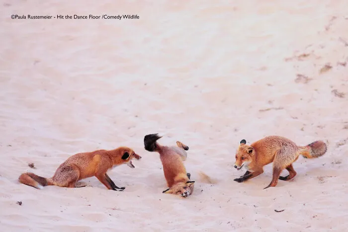 "Hit The Dance Floor!" By Paula Rustemeier, Germany