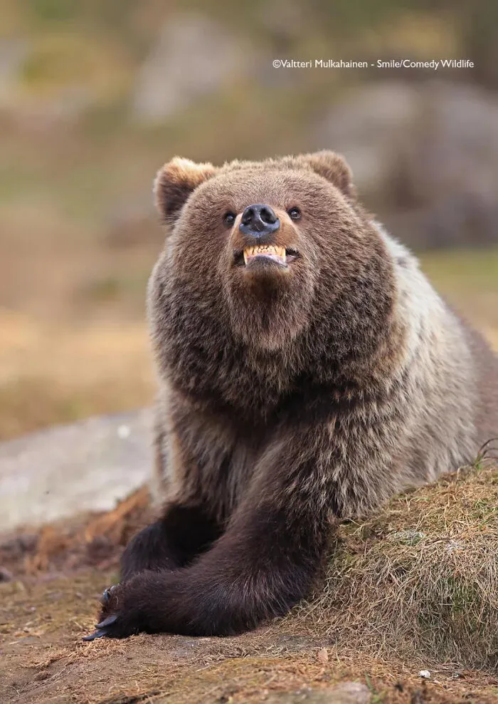 "Smile, You’re Being Photographed." By Valtteri Mulkahainen, Finland