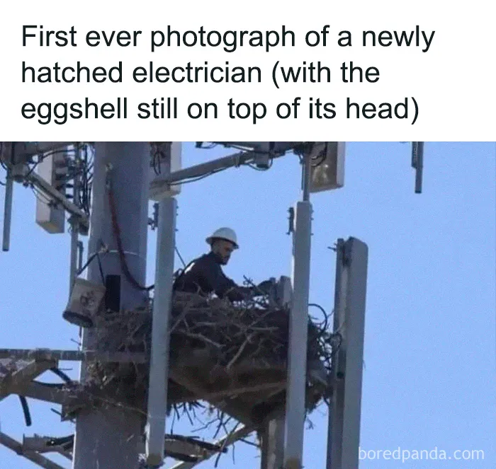 50 Memes You Might Want To Share As They’re Too Funny To Keep To Yourself