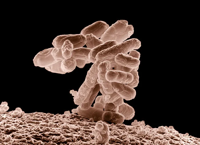 46 Facts About Life That Might Change How You See Everything