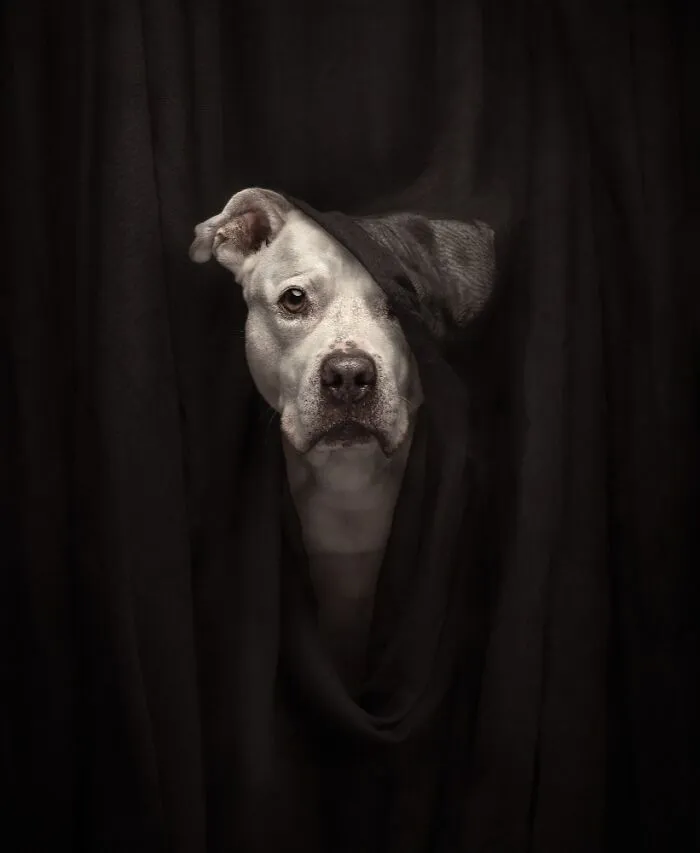 Photo By Katie Brockman