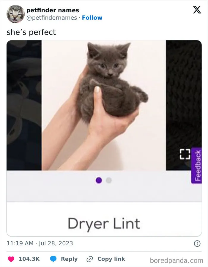 50 Times Pet Names Were So Good They Deserved An Award