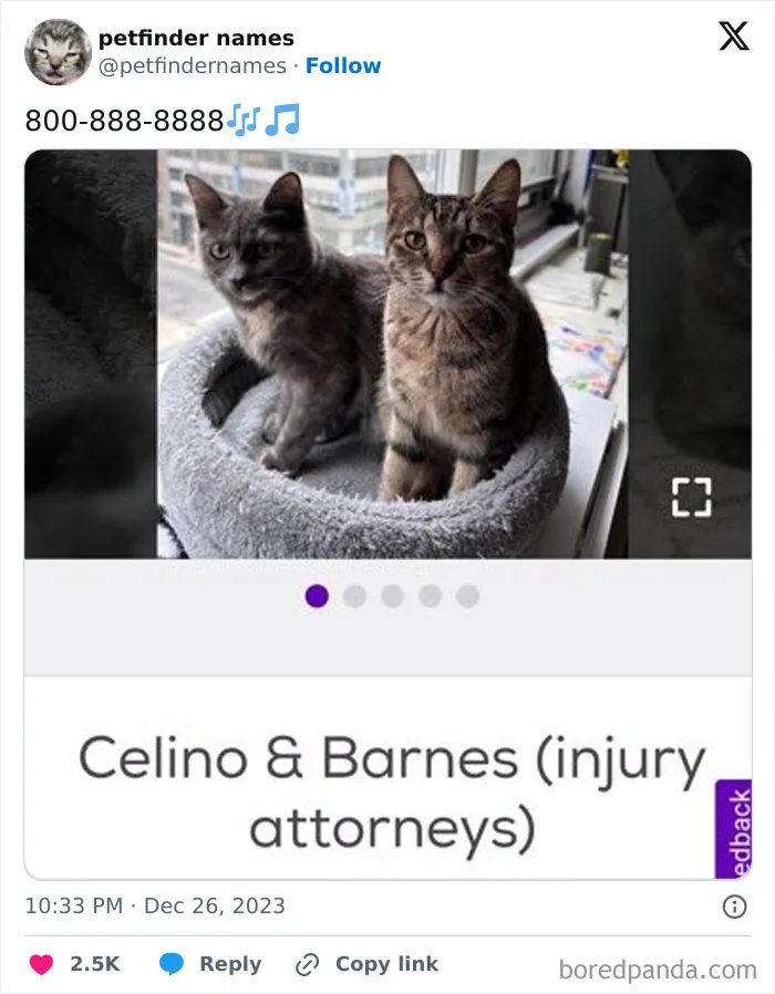 50 Times Pet Names Were So Good They Deserved An Award
