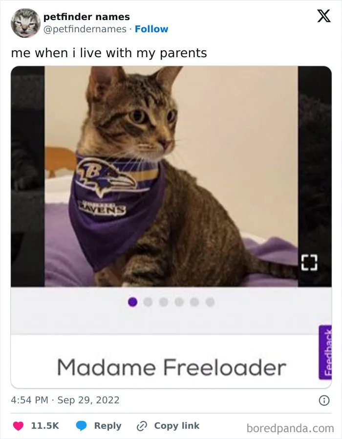 50 Times Pet Names Were So Good They Deserved An Award