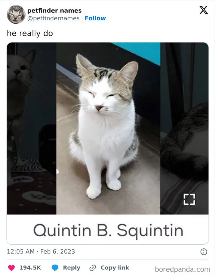 50 Times Pet Names Were So Good They Deserved An Award