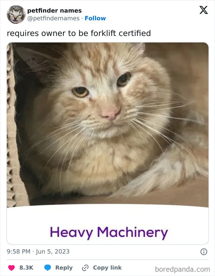 50 Times Pet Names Were So Good They Deserved An Award
