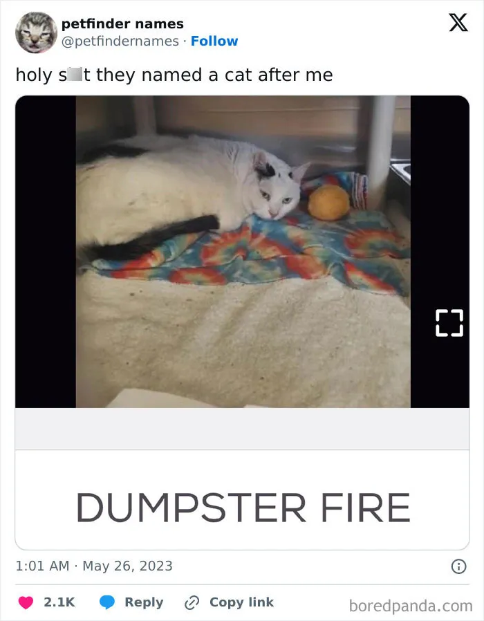 50 Times Pet Names Were So Good They Deserved An Award